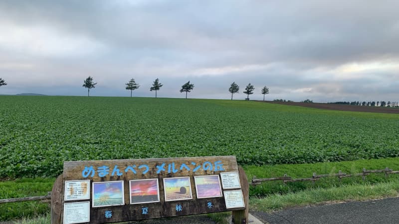 北海道の田園風景