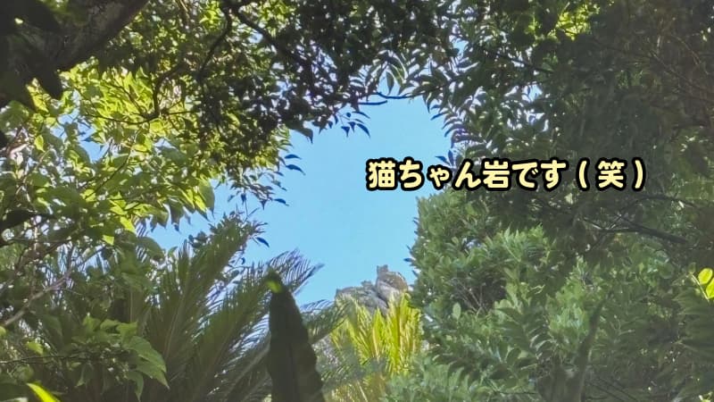 猫の形をした岩