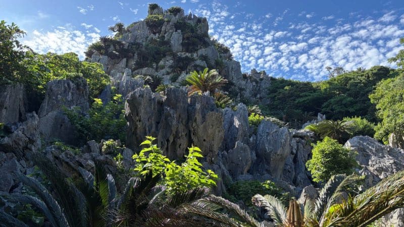ASUMUIのシンボル悟空岩