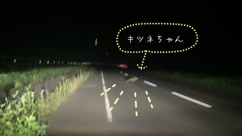 道路を走って横切るキツネ