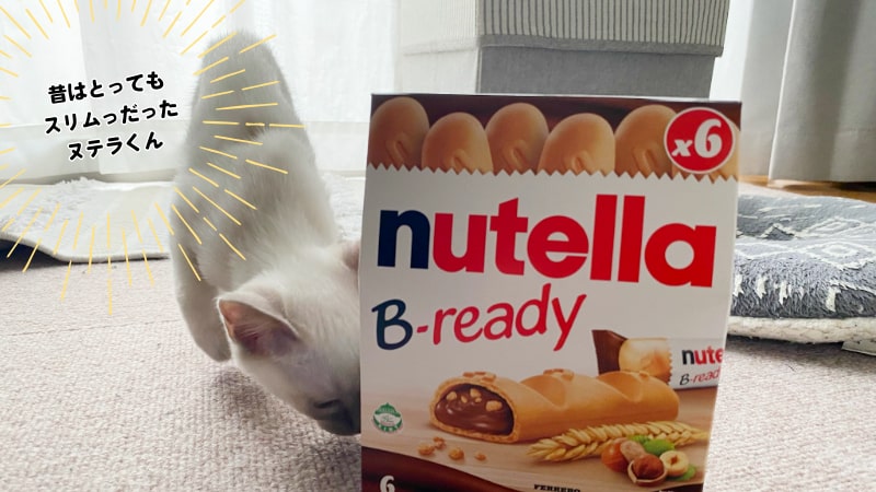 子猫とヌテラチョコのお菓子