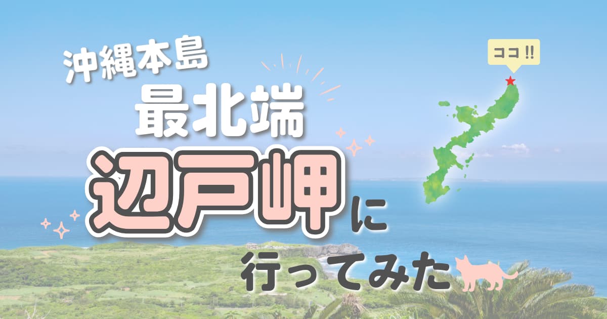 辺戸岬の写真
