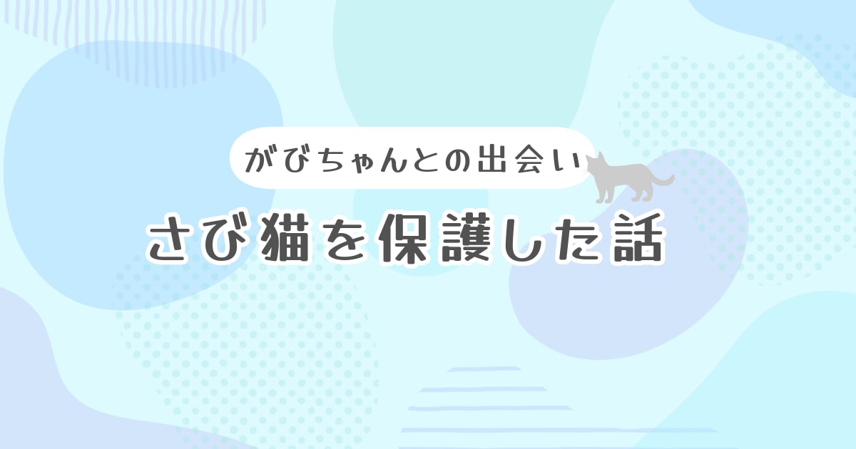 サビ猫を保護した話のアイキャッチ。淡い色の水色に猫のシルエットの絵。